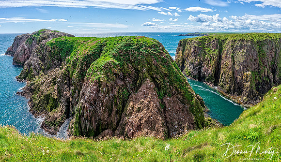 Coastline between Cruden Bay and Longhaven, Scotland