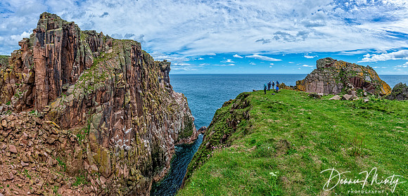 Longhaven Cliffs Nature Reserve, Scotland