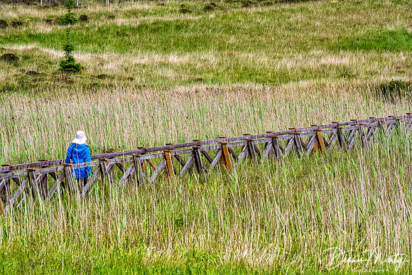 Finlaggan, Islay