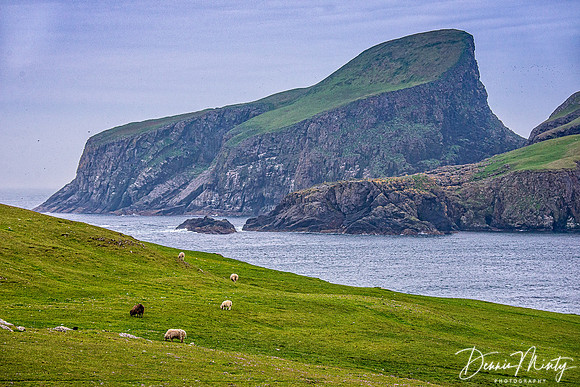 Fair Isle