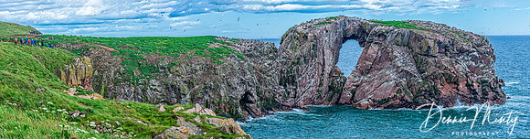Coastline between Cruden Bay and Longhaven, Scotland