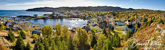 Brigus in the Fall