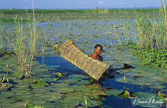 Fisherman, Malawi