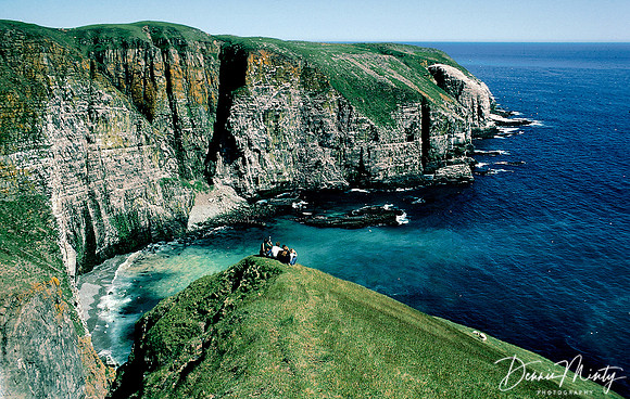Cape St. Mary's, Newfoundland, Canada