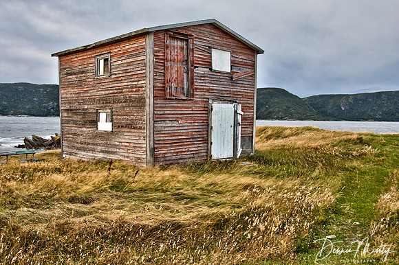 Conche, Northern Peninsula, Newfoundland