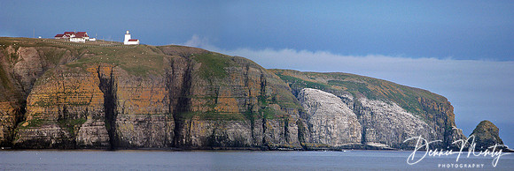Lighthouse & Bird Rock, Cape St. Mary's, Newfoundland, Canada
