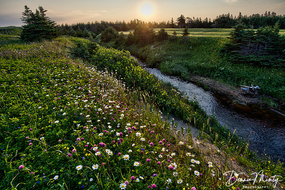 Portland Creek, Newfoundland, Canada