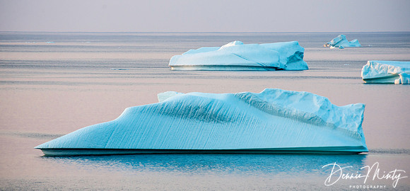 Icebergs off Wild Cove, Twillingate, Newfoundland, Canada