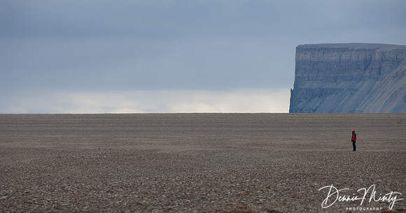 Caswell Tower, Radstock Bay