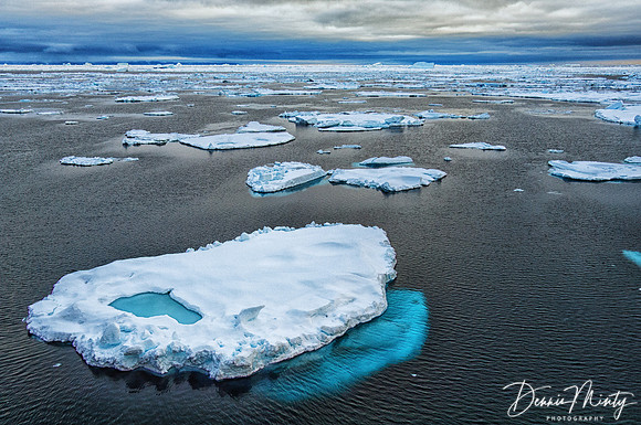 Kane Basin, 79 Degrees North