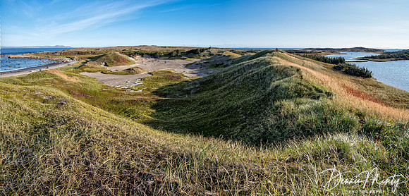 Byron Bay, Labrador