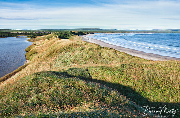 Byron Bay, Labrador