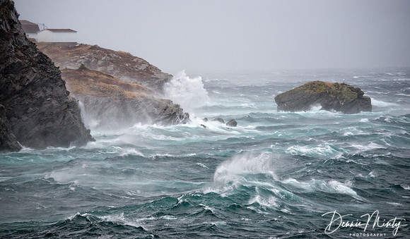 Storm, Port de Grave