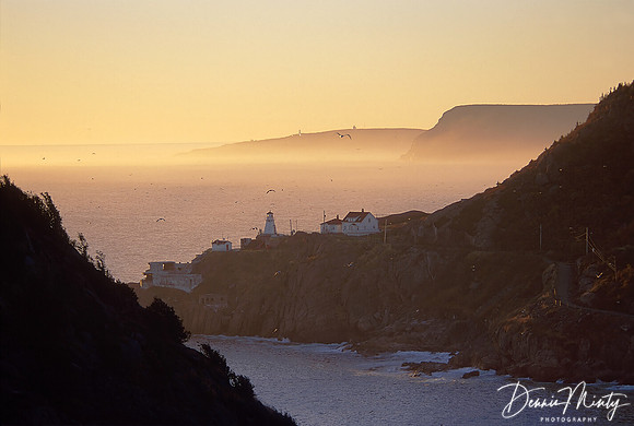 Fort Amherst Lighthouse at Dawn, St. John's, Newfoundland, Canada