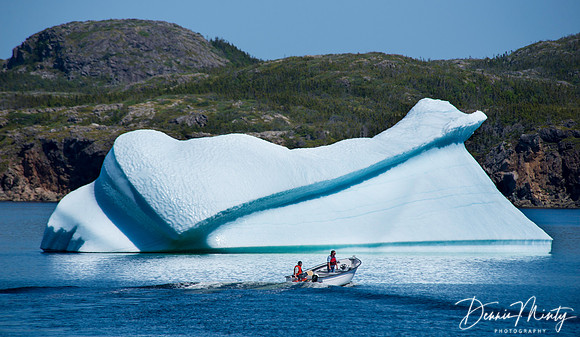 Purcell's Harbour, Twillingate, Newfoundland, Canada