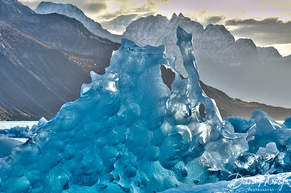 Evighedsfjord, Greenland