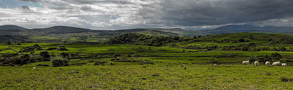Galloway Scene, Scotland