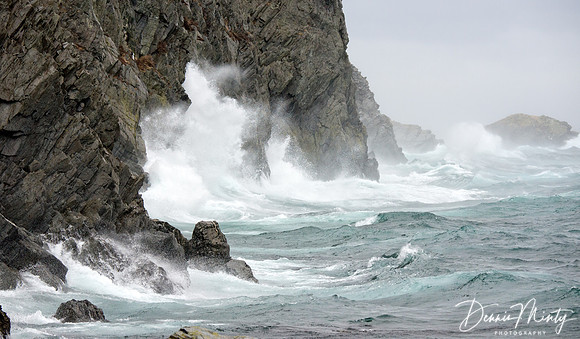 Storm, Port de Grave