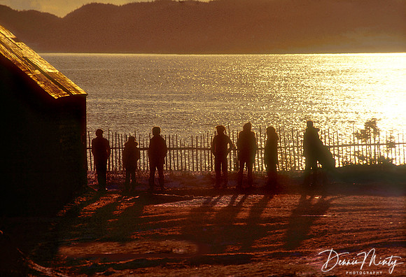 The Lads, Evening in Twillingate, Newfoundland, Canada