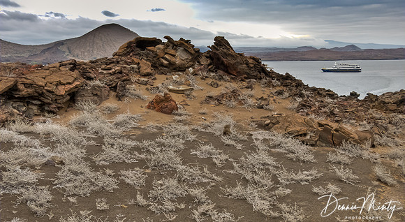 Bartoleme Island