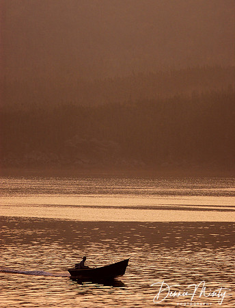 Early Out, Bonne Bay, Newfoundland, Canada
