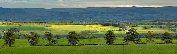 Farm Fields, Fowlis Wester, Perthshire, Scotland