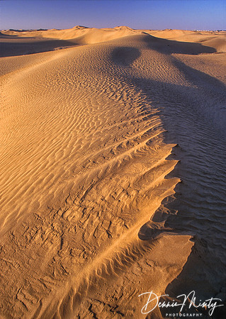 Dunes at Dawn, Namibia