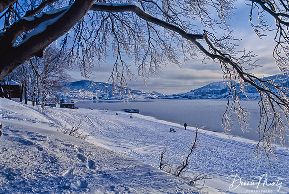Winter on Quidi Vidi Lake, St. John's Newfoundland, Canada