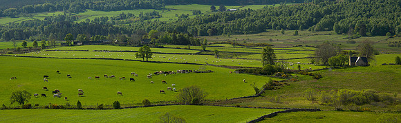 Tarland, Aberdeenshire, Scotland
