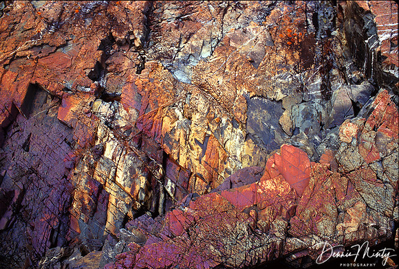 Rock Face, Newman Sound, Terra Nova National Park