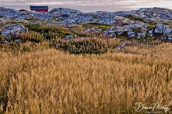Tilting, Fogo Island, Newfoundland, Canada