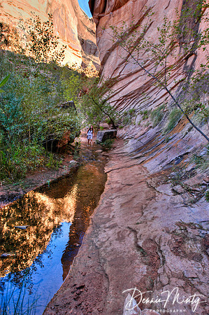 Utah