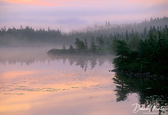 Misty Morning, Avalon Peninsula, Newfoundland, Canada