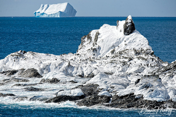 Point Wild, Elephant Island, Antarctica