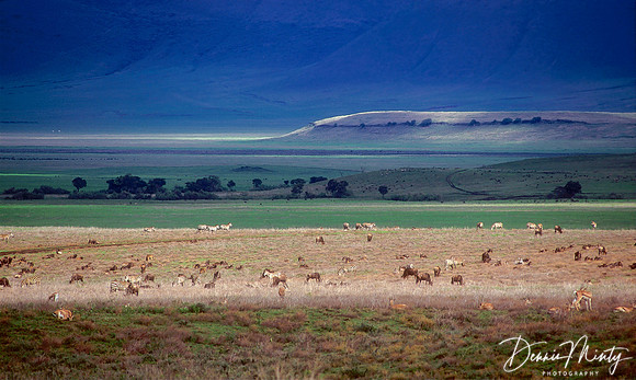 Ngorongoro Crater, Tanzania