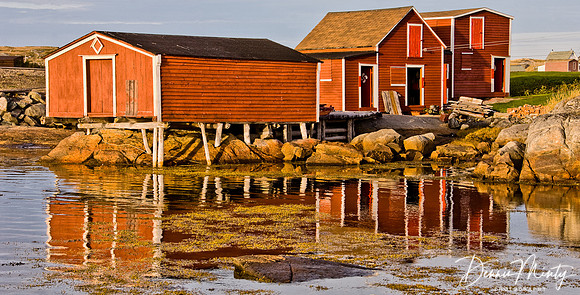 Red Ochre Sheds, Tilting, Fogo Island, Newfoundland, Canada