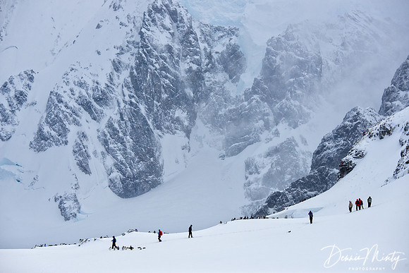 Cuverville Island, Antarctica