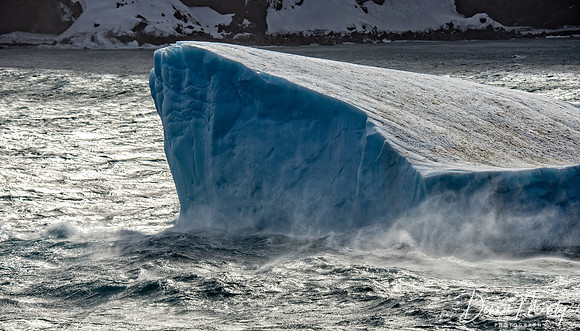 Iceberg, Deception Island, Antarctica