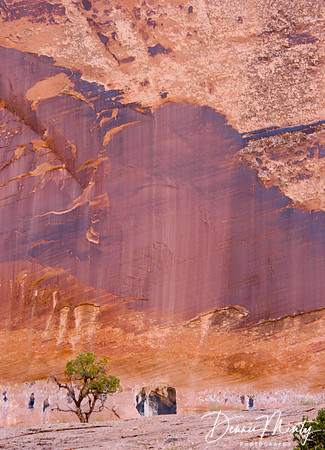 Utah