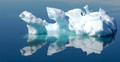 Penguin on Iceberg, Antarctica
